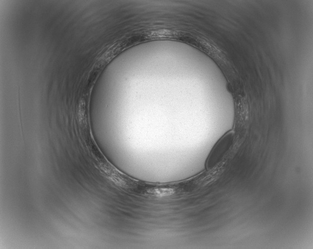 X0000052990361200508051114