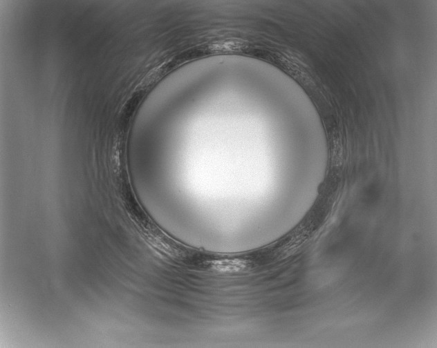 X0000052990363200508051114