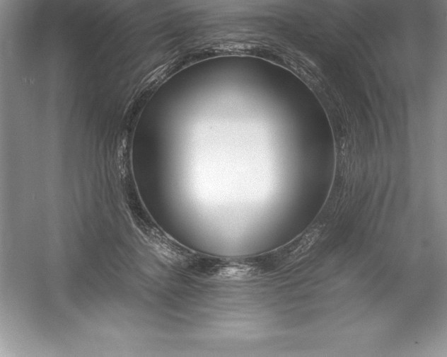 X0000052990364200508051114