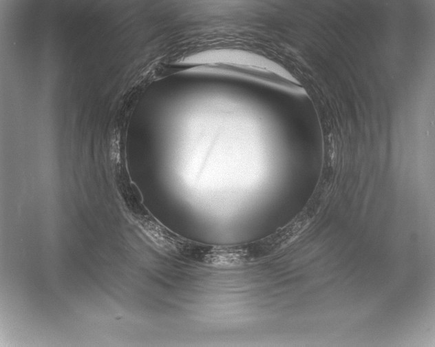 X0000052990368200508051114