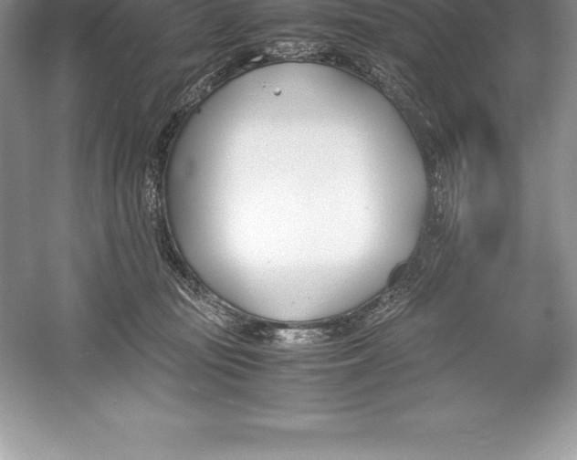 X0000052990371200508051114