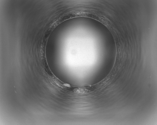 X0000052990372200508051114