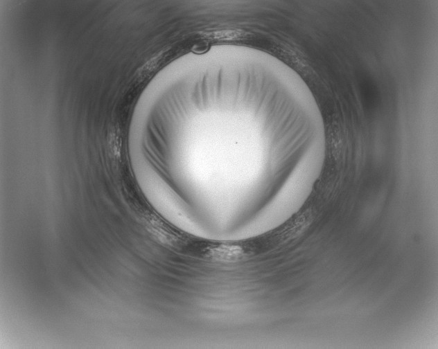 X0000052990374200508051114