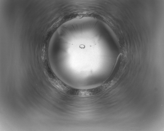 X0000052990376200508051114