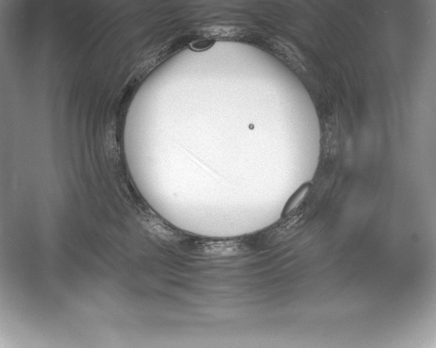 X0000052990377200508051114