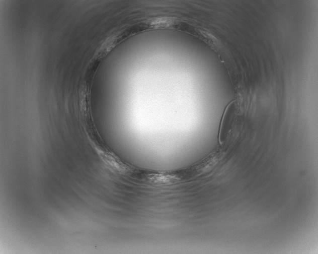 X0000052990379200508051114