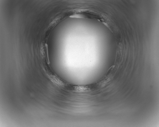 X0000052990380200508051114