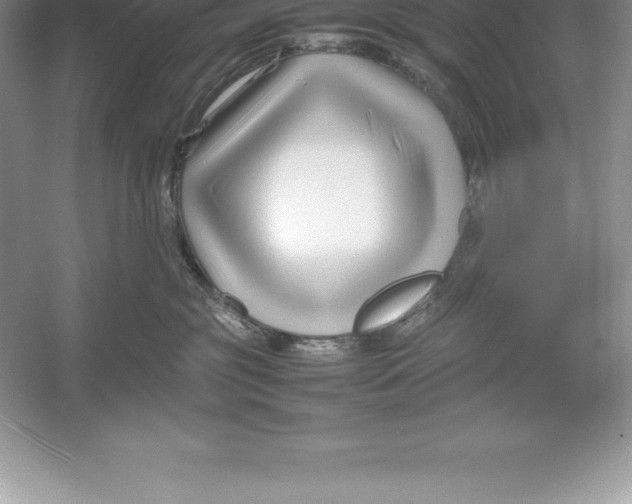 X0000052990381200508051114