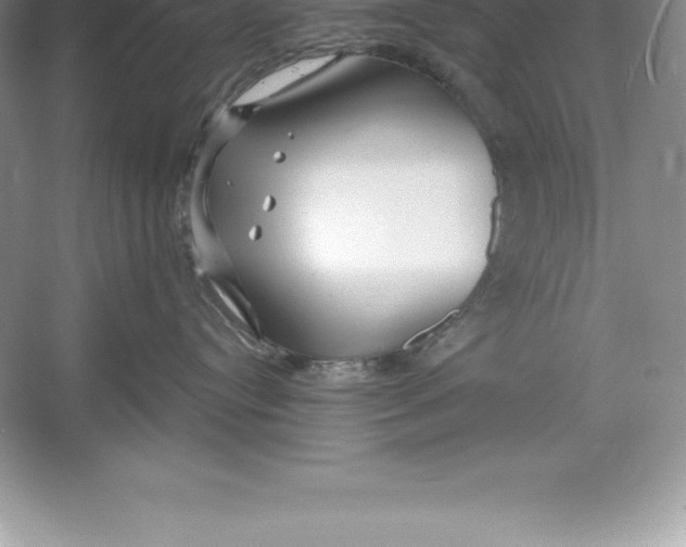 X0000052990384200508051114