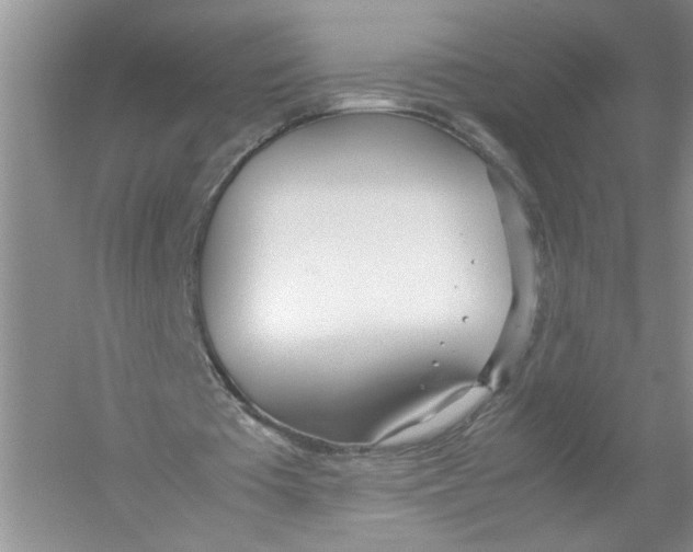 X0000052990385200508051113