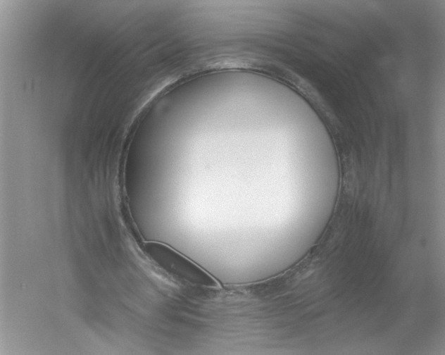 X0000052990386200508051113