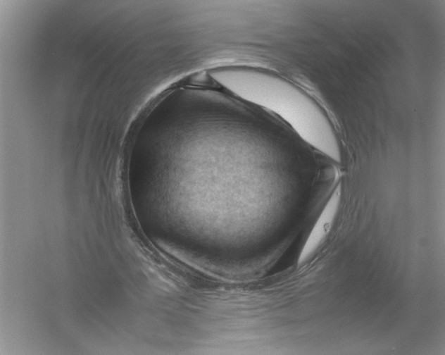 X0000052990387200508051113