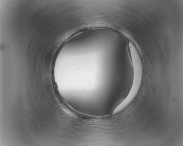 X0000052990389200508051113