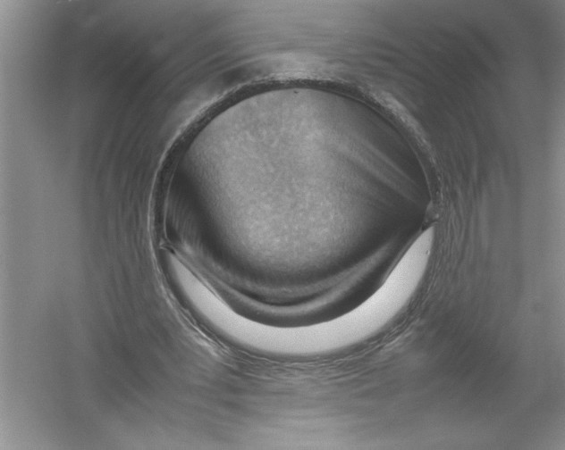 X0000052990391200508051113