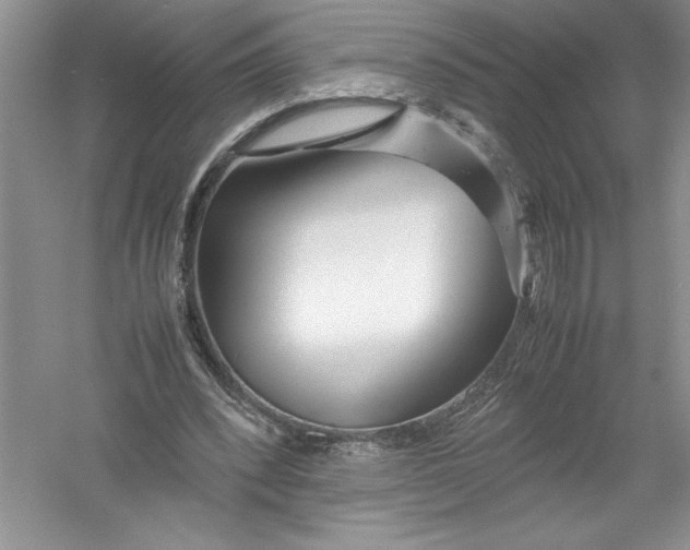 X0000052990392200508051113