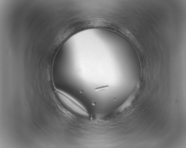 X0000052990393200508051113