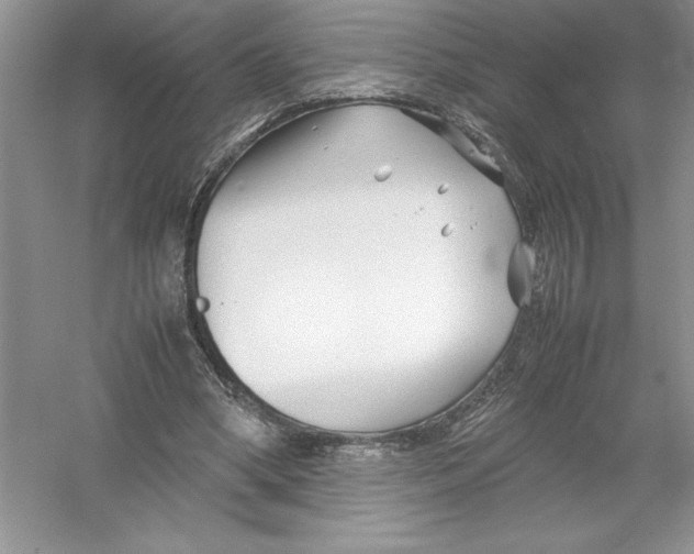 X0000052990394200508051113