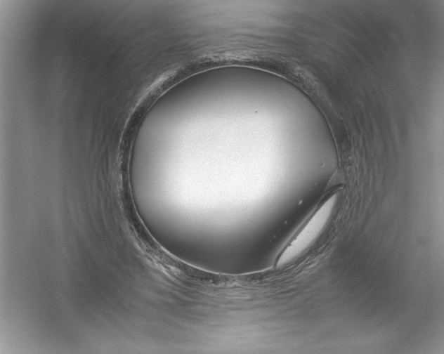 X0000052990395200508051113