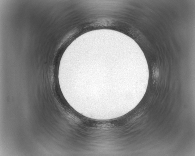 X0000052990396200508051113