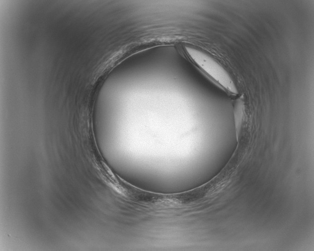 X0000052990397200508051113