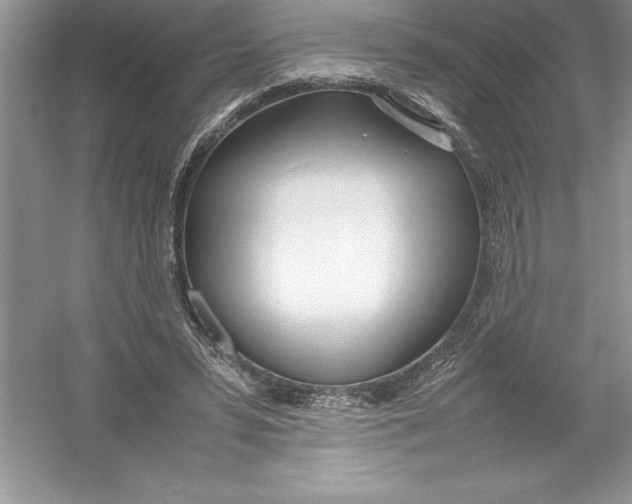 X0000052990399200508051113