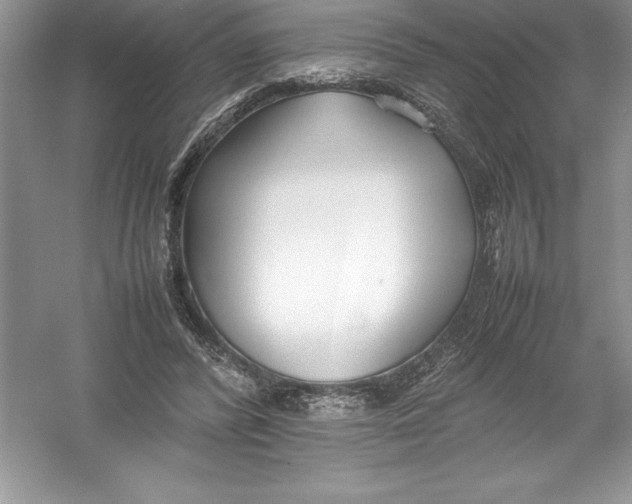 X0000052990400200508051113