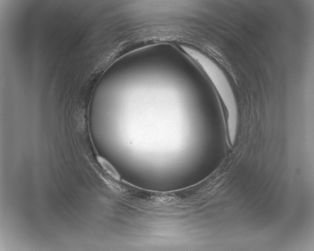 X0000052990401200508051113