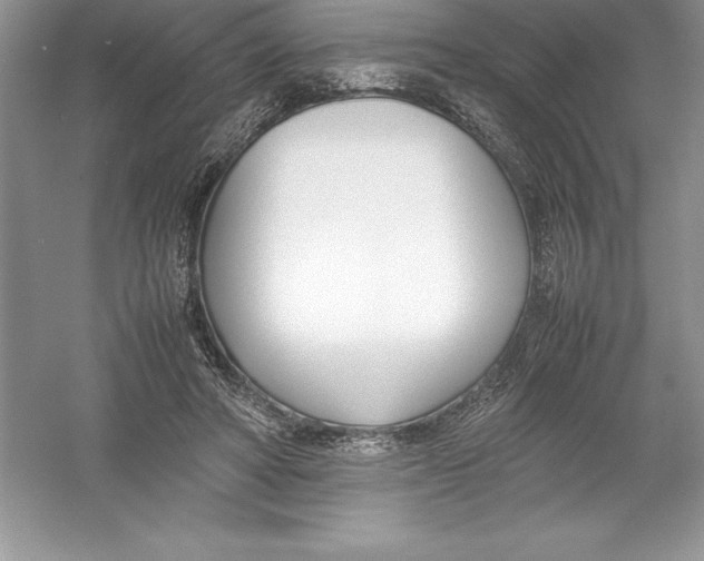 X0000052990402200508051113