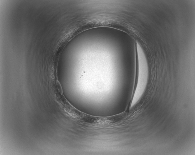 X0000052990403200508051113