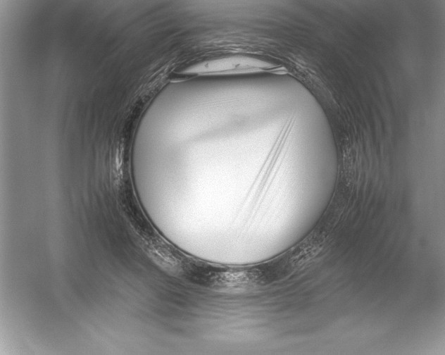 X0000052990406200508051113