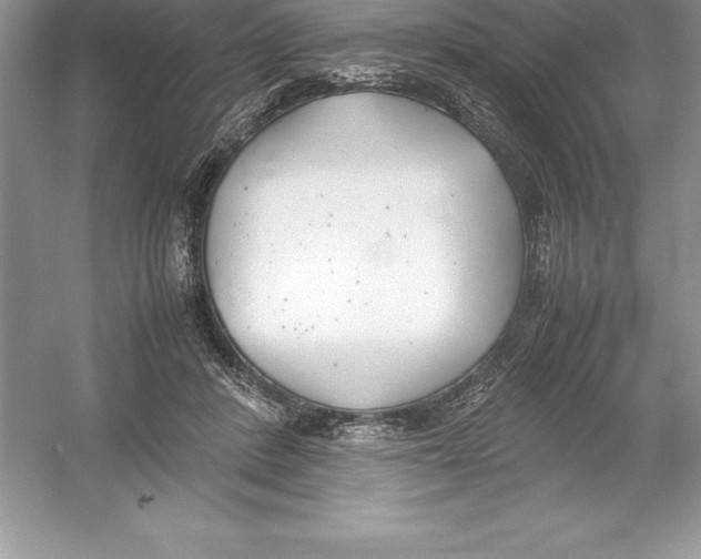 X0000052990408200508051113