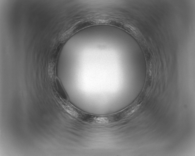 X0000052990409200508051113