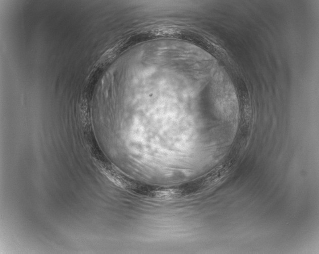 X0000052990411200508051113