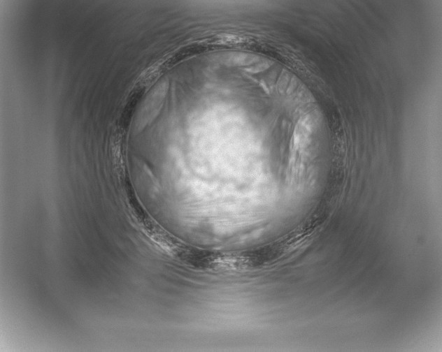 X0000052990415200508051113