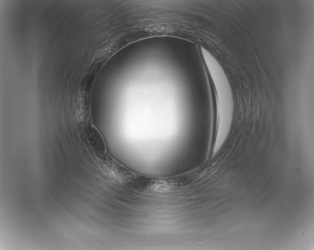 X0000052990416200508051113