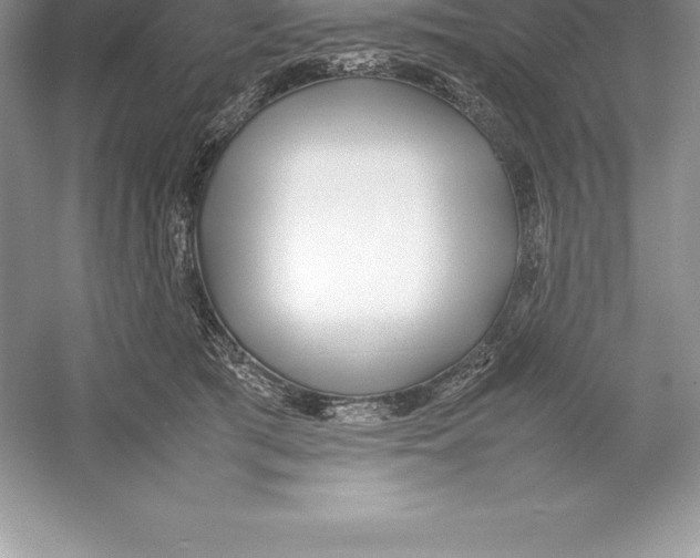 X0000052990417200508051113