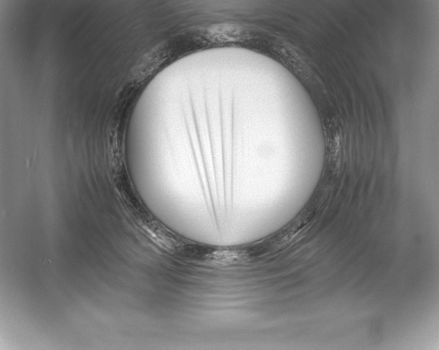 X0000052990418200508051113