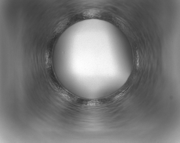 X0000052990420200508051113