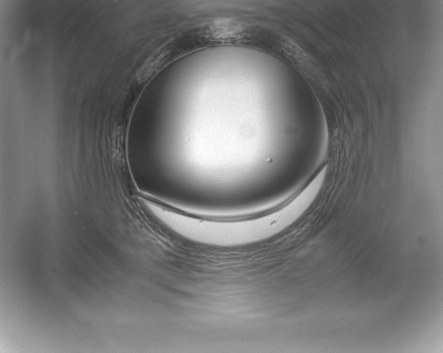 X0000052990421200508051113