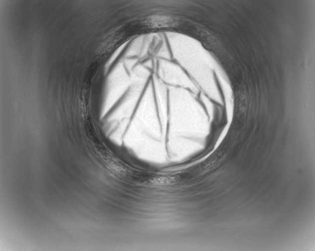 X0000052990422200508051113