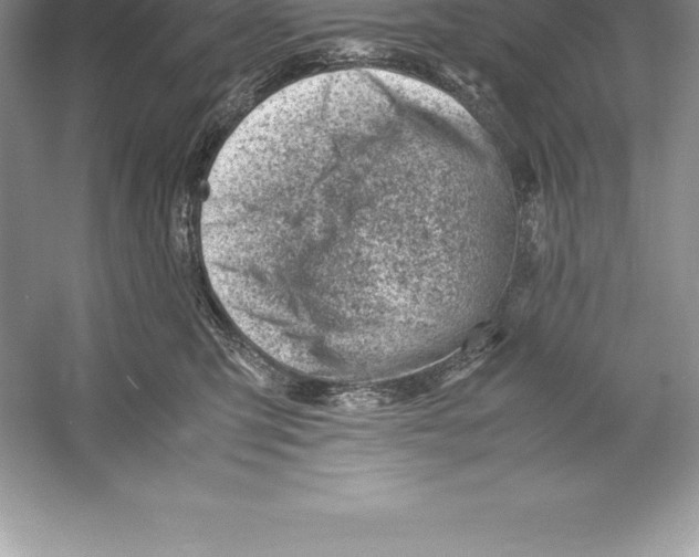 X0000052990423200508051113