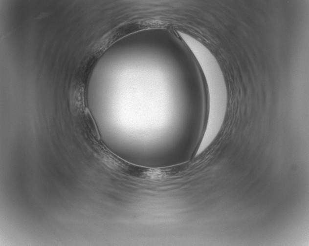 X0000052990425200508051113