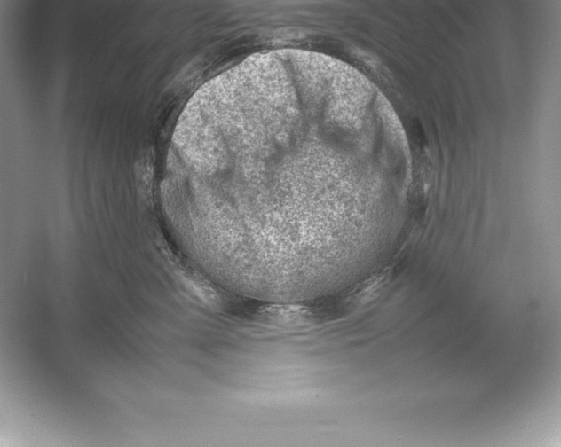 X0000052990427200508051113