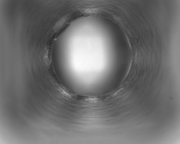 X0000052990428200508051113