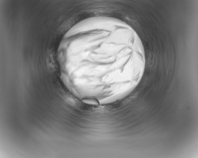 X0000052990430200508051113