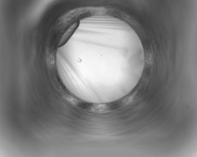 X0000052990431200508051113