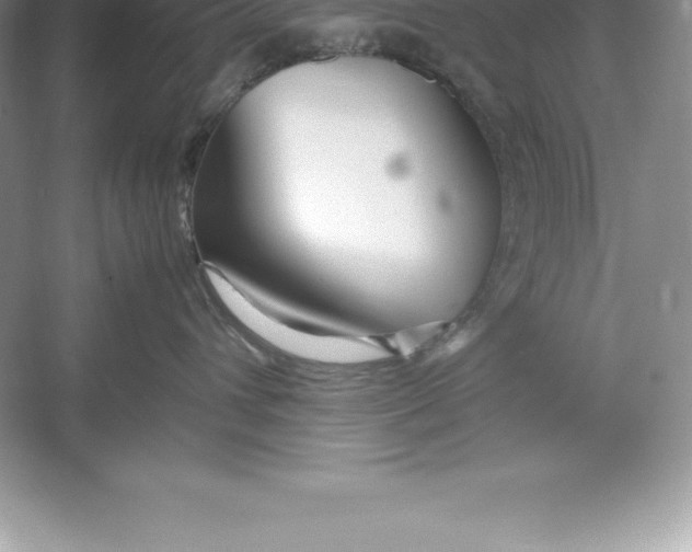 X0000052990432200508051113