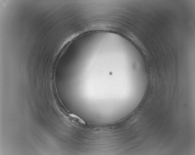 X0000052990434200508051112