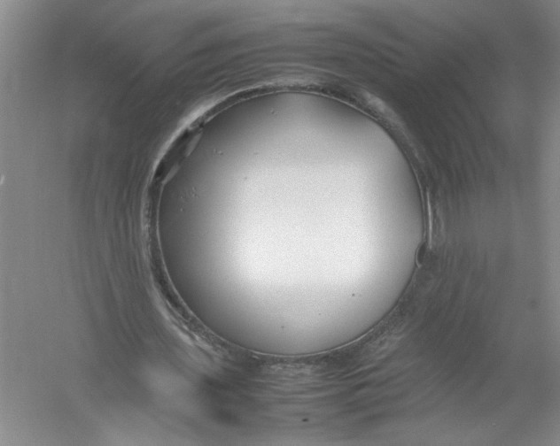 X0000052990435200508051112