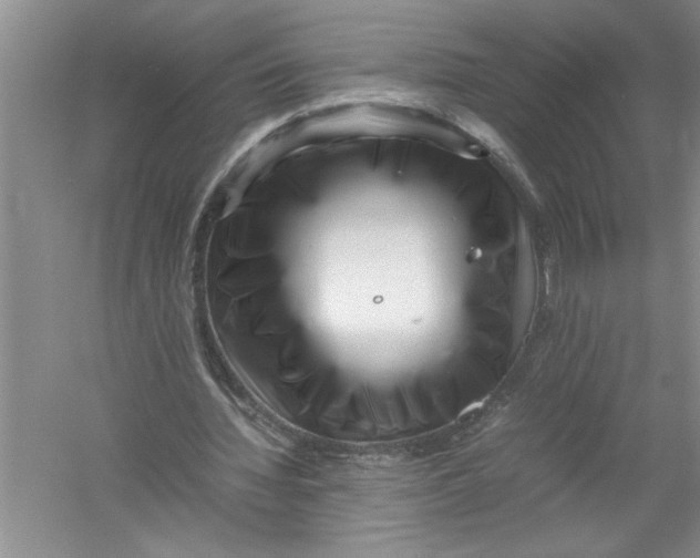 X0000052990436200508051112